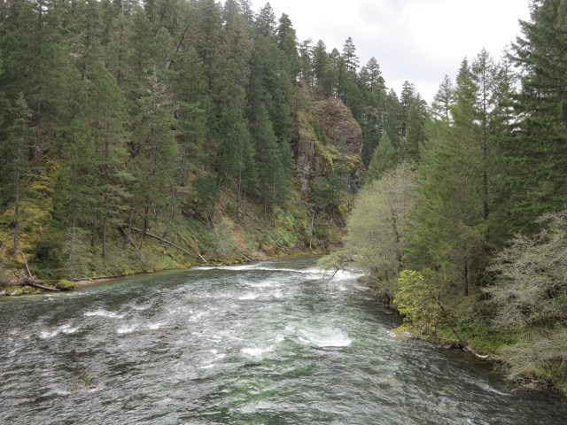 The Umpqua River by the Horsehoe Bend