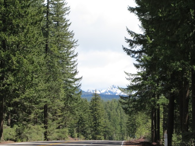 Hwy 20, going down from Tombstone Pass before the merge with 126 farther east