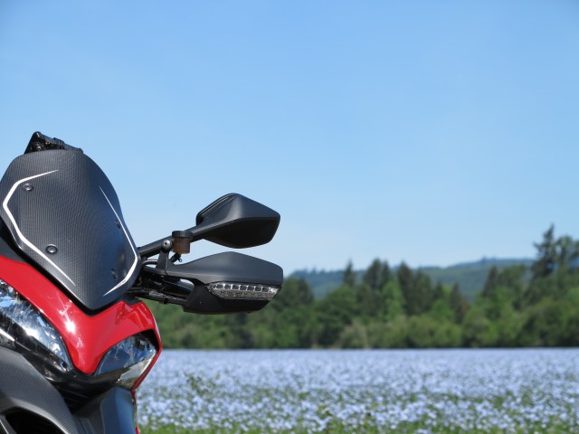 Fields of purple going past Brownsville. May 11, 2013