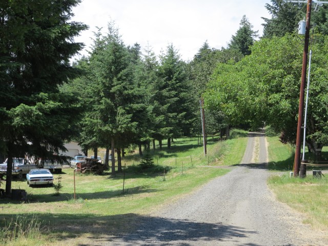In the vicinity of the apiary. June 2013