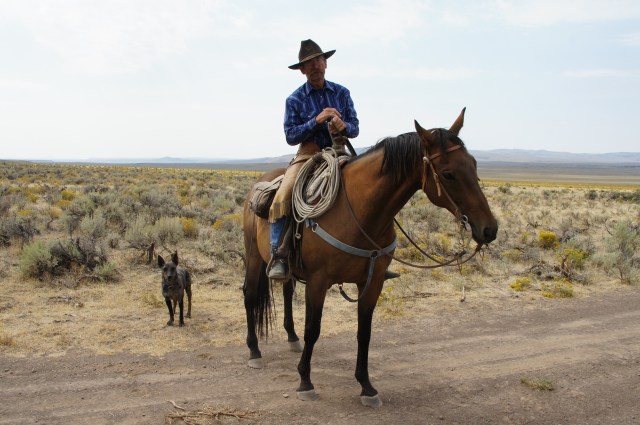 Oregon "Gaucho".  Photo courtesy of Christian Abärcheli. Steens Mountain area, September 2013