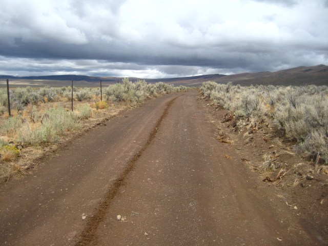 Rincon Flat rd, Lone Mountain Loop, 2010 edition