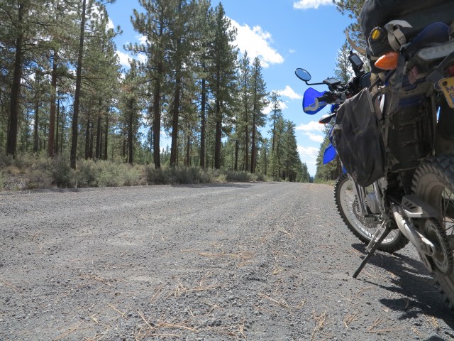 Washboard from Hell!