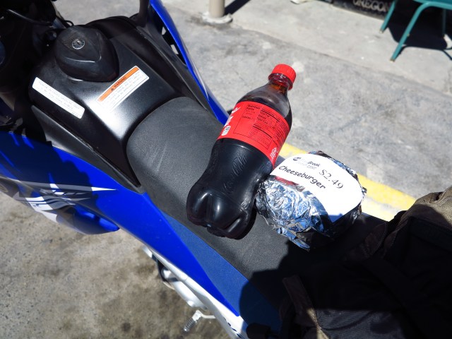 Cheeseburger and a coke. Perfect lunch!