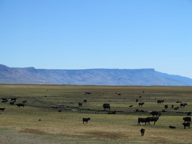 Abert Lake with Abert Rim on the background