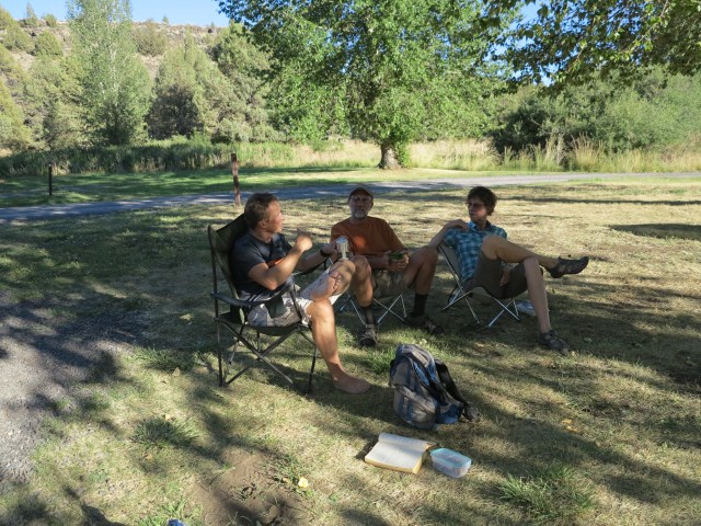 Under the shade of a tree