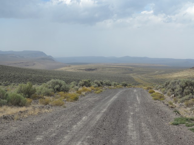 Forest road 6124 towards Paisley