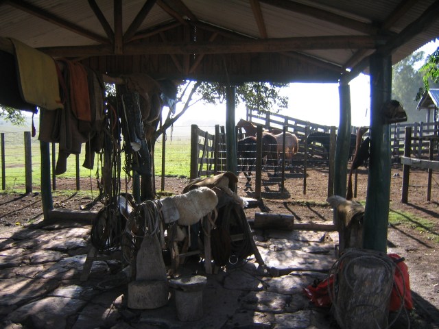 Rancho Las Flores, Vichadero, Uruguay, April 2006.