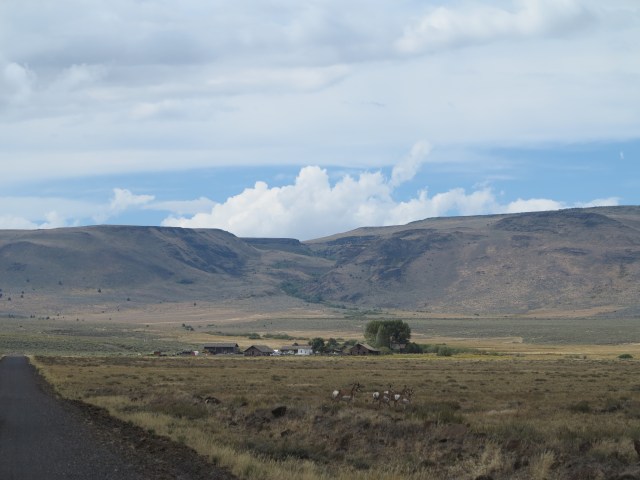 Antelope and the Antelope Refuge headquarters on the background