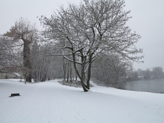 The path had about 3-5 inches of snow.