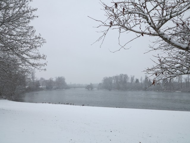 Snow in the Willamette valley. December 6th, 2013 