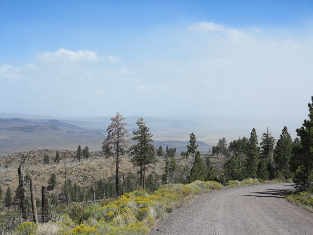 Going north, and down from the Winter Ridge