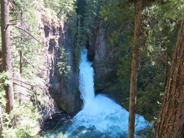 Toketee Falls. Very impressive volume of water.