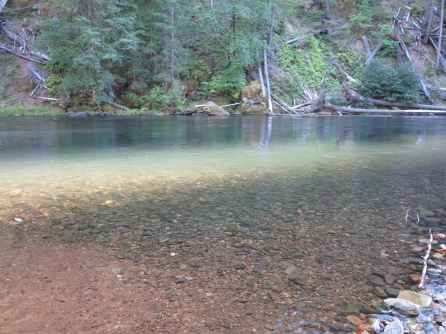 Another daily routine: Everyday, after the ride, Oliver, Monika, Christian and I would found our way to the Umpqua for a very cold but energizing bath.