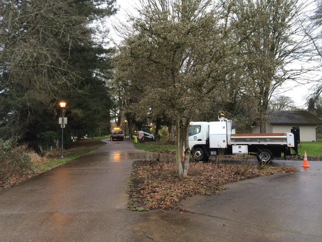 Crews cleaning up the trails