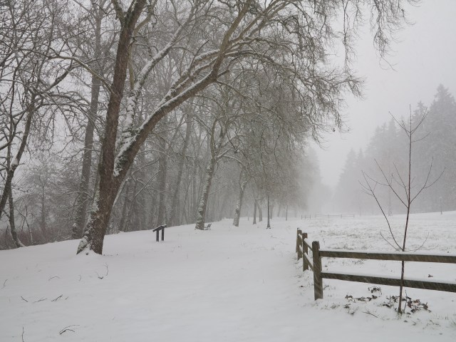 The February 2014 Snowcalypse (or the 60 day storm)
