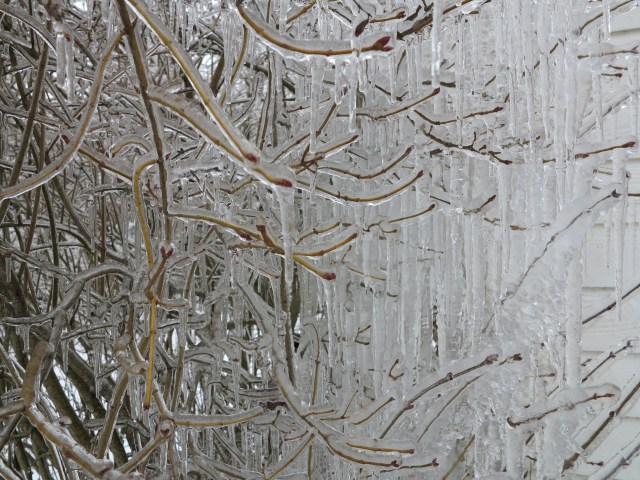 Ice "water fall" from a snow clogged gutter