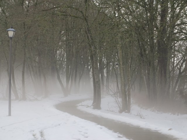 In some areas the bike path was cleared