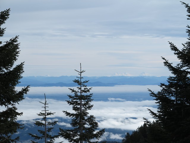 First blessing of the season from my three sisters