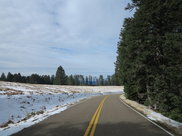 Going down from Mary's Peak