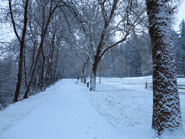 The beginning of the December 2013 Snowcalypse. It was more than 6 inches of snow.