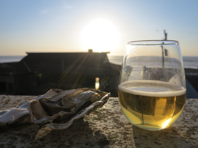 Oysters and Beer