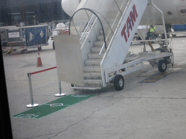 TAM's soccer pitch green carpet