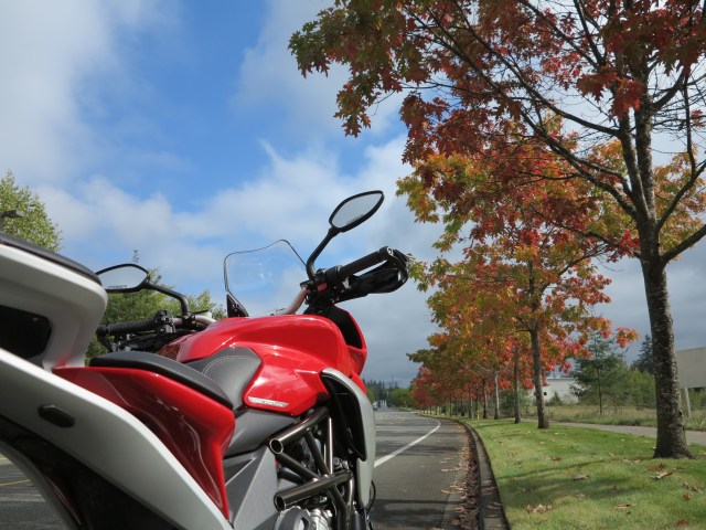 Beautiful from all angles!