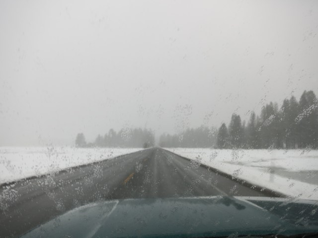 Snow on the way back home