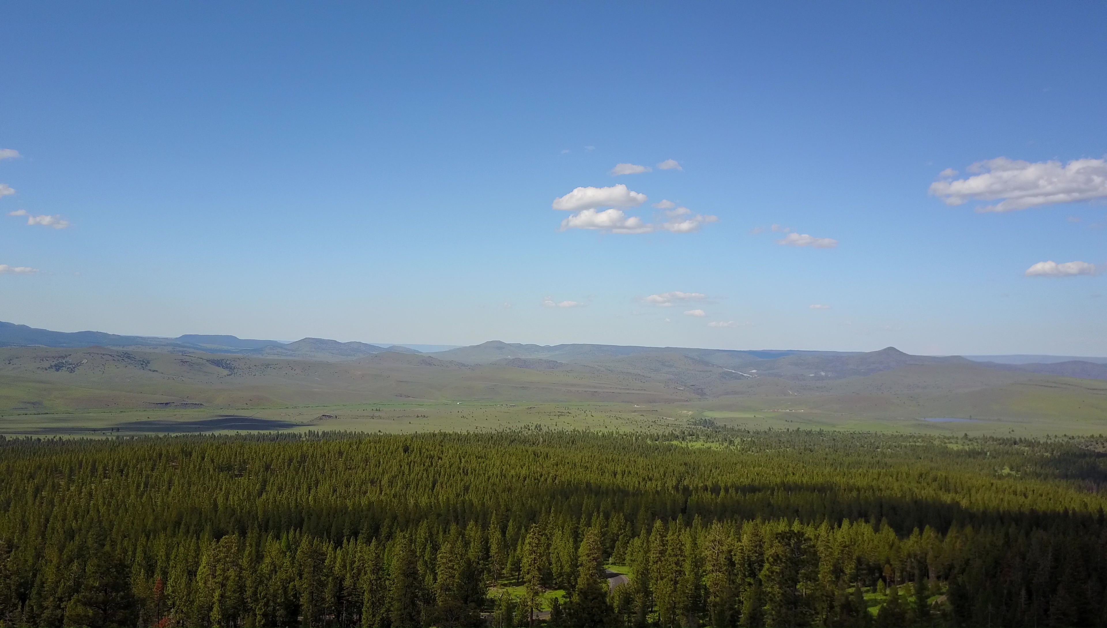 vlcsnap-2017-06-09-06h52m59s520