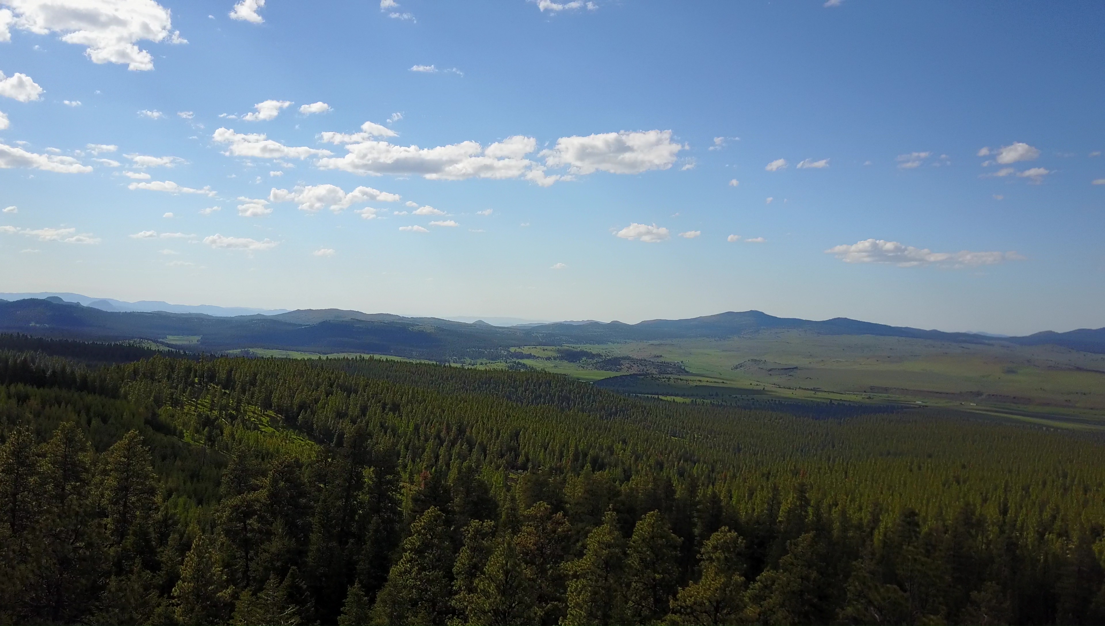 vlcsnap-2017-06-09-06h57m03s178