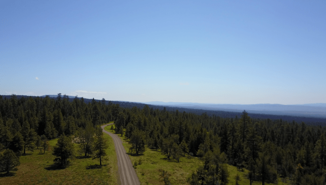 vlcsnap-2017-06-10-08h28m40s929